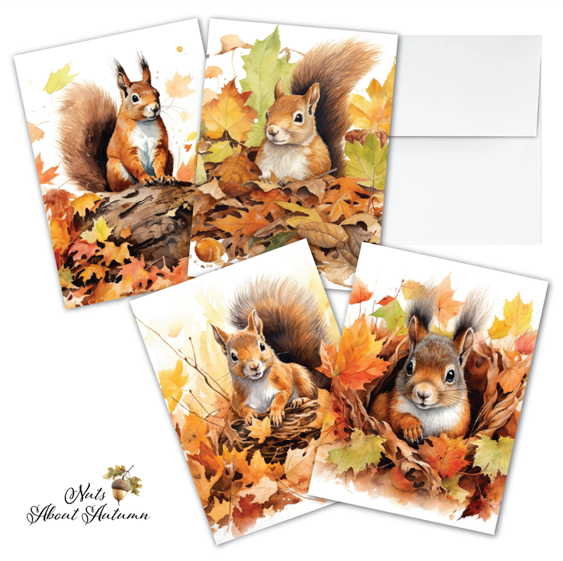 ZN_802 Squirrel Notecards