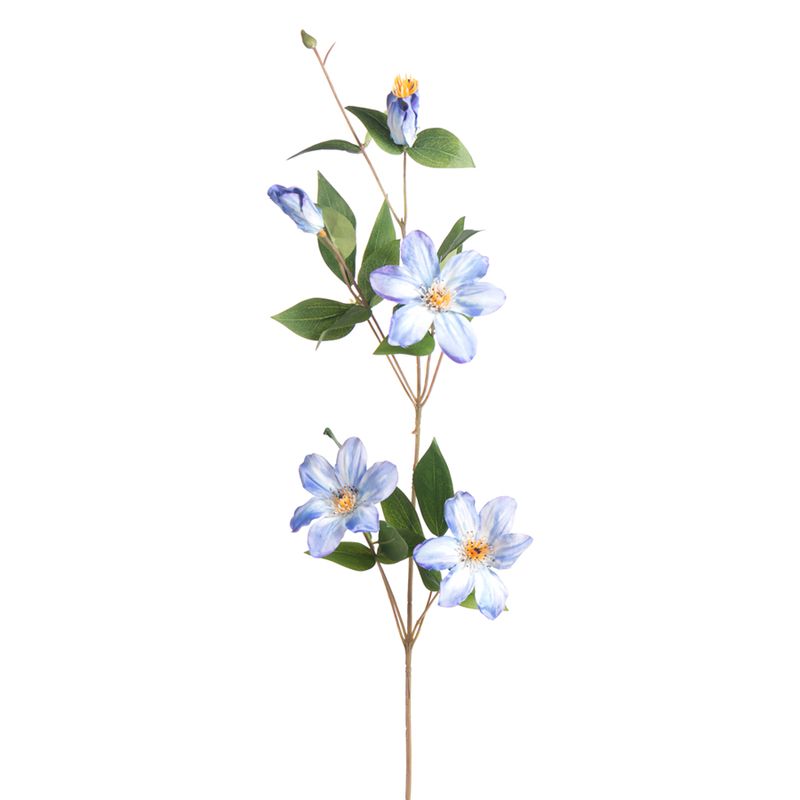 1B292 Clematis