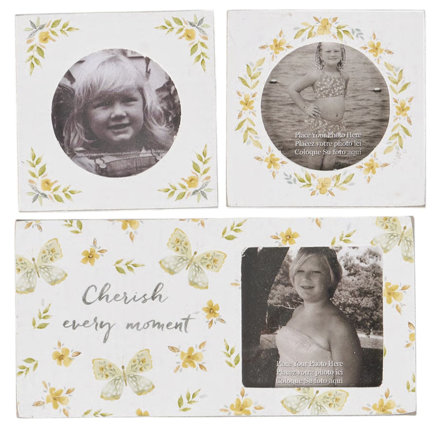 BF283 ​Butterfly Magnetic Frame