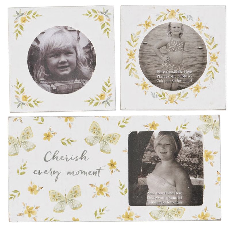 BF283 ​Butterfly Magnetic Frame