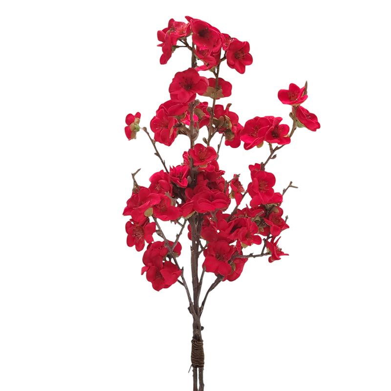1BW333 Christmas Balsam Red