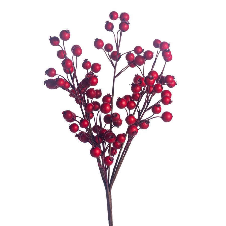 1BW334 Mini Pomegranate Bush