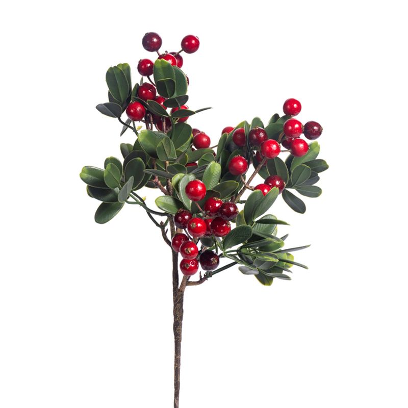 1BW332 Berry Spray Red