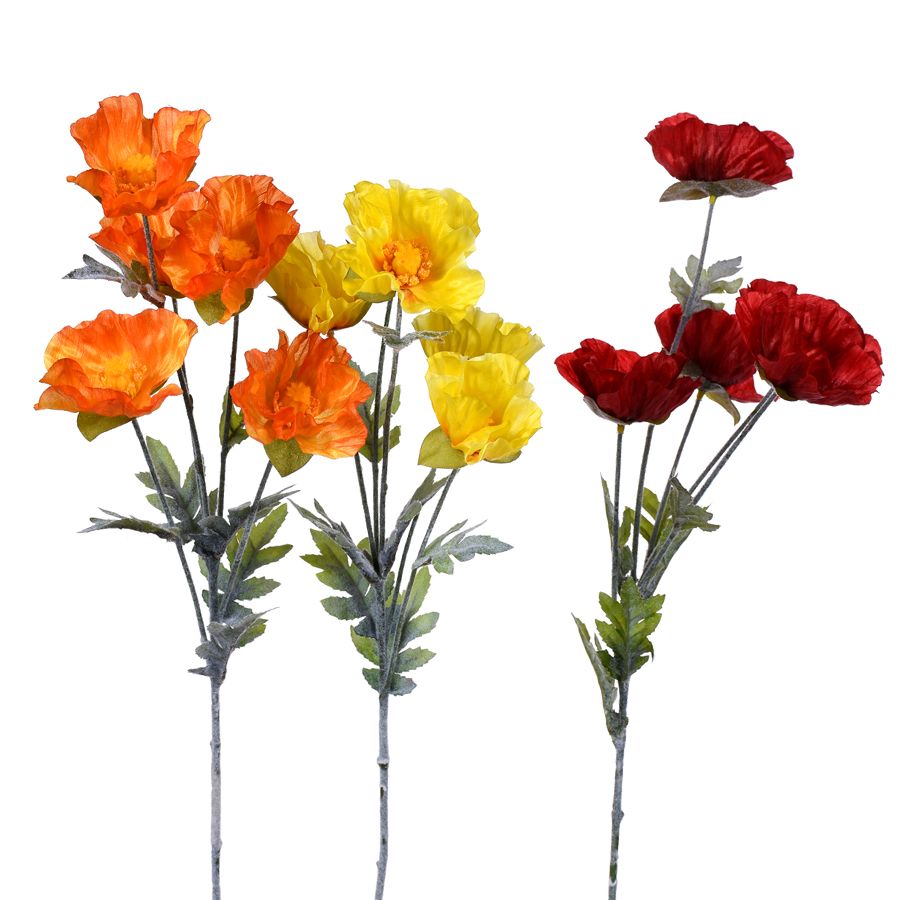 1B308 Poppy