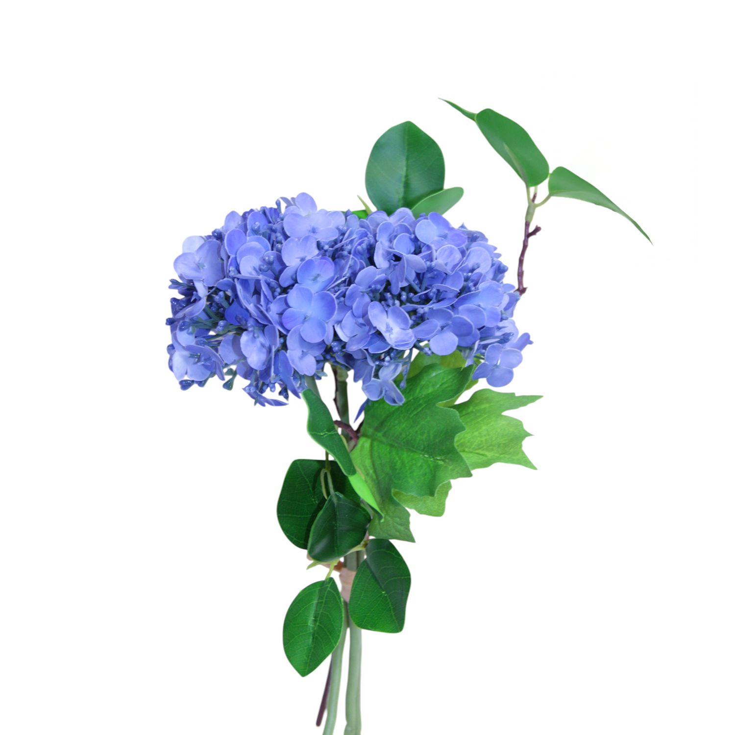 1B311 Viburnum Bundle