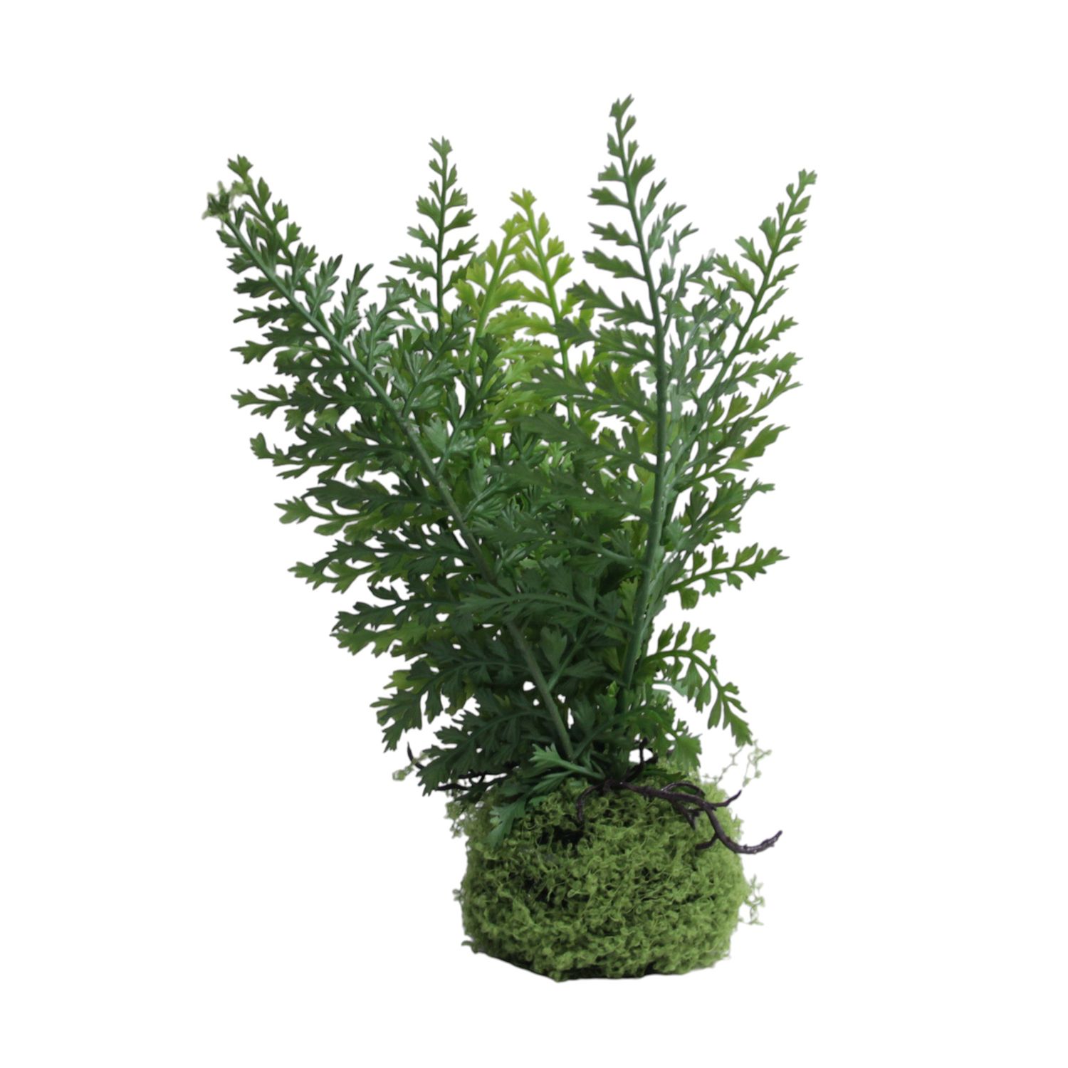 1B309 Fern with Moss Base