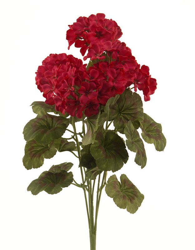 1B305 Dark Geranium