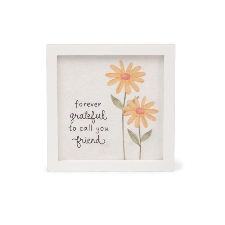 MN471S Grateful Friend Frame