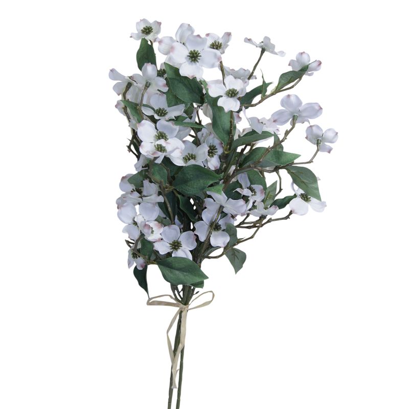 1B310 Dogwood Branch
