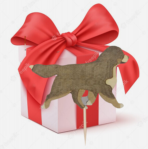 D&#39;Bern Designe X&#39;mas GIFT 6+1 GRATIS