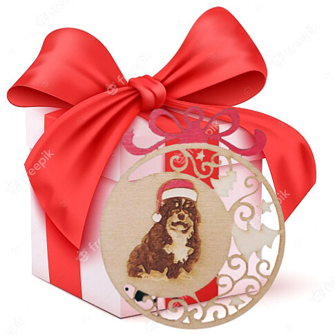 D&#39;Bern Designe X&#39;mas BOX 10+2 GRATIS