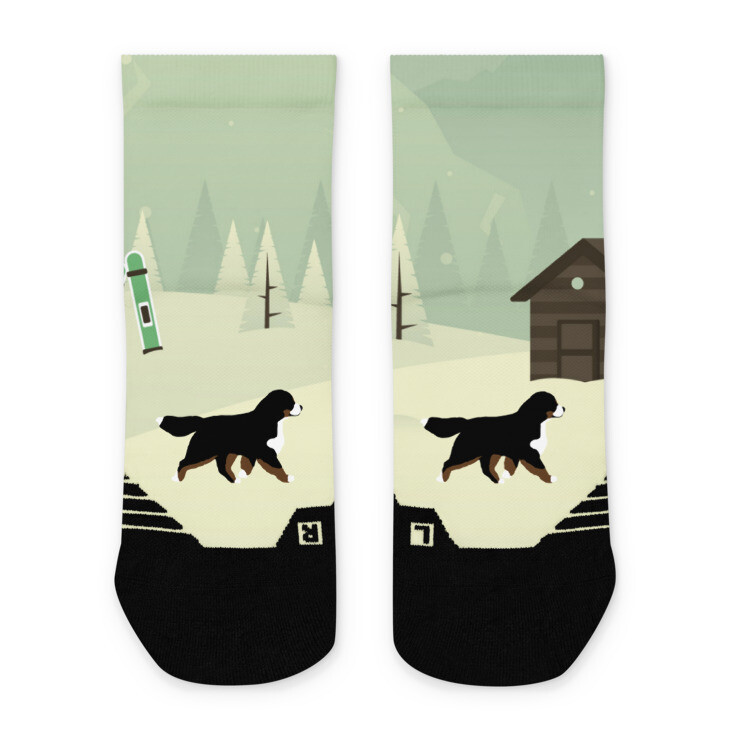 D&#39;Bern Designe Ankle socks BMDS 2