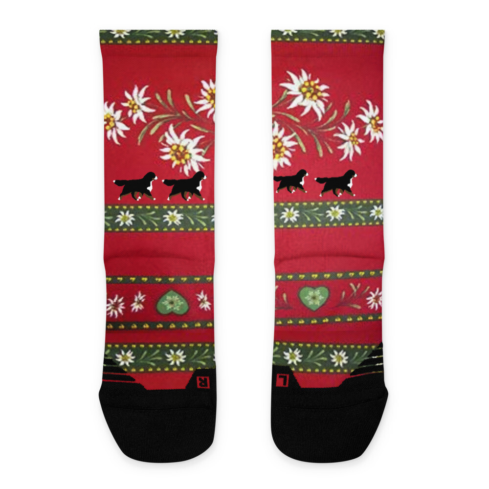 D&#39;Bern Designe Lonh socks BMDS3