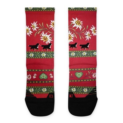 D&#39;Bern Designe Lonh socks BMDS3