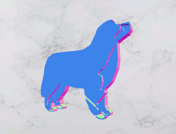 D`Bern Designe Cookie Bernese STAMP