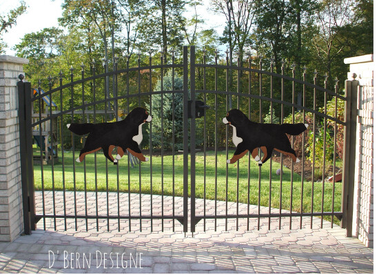D&#39;Bern Designe Bernese Large