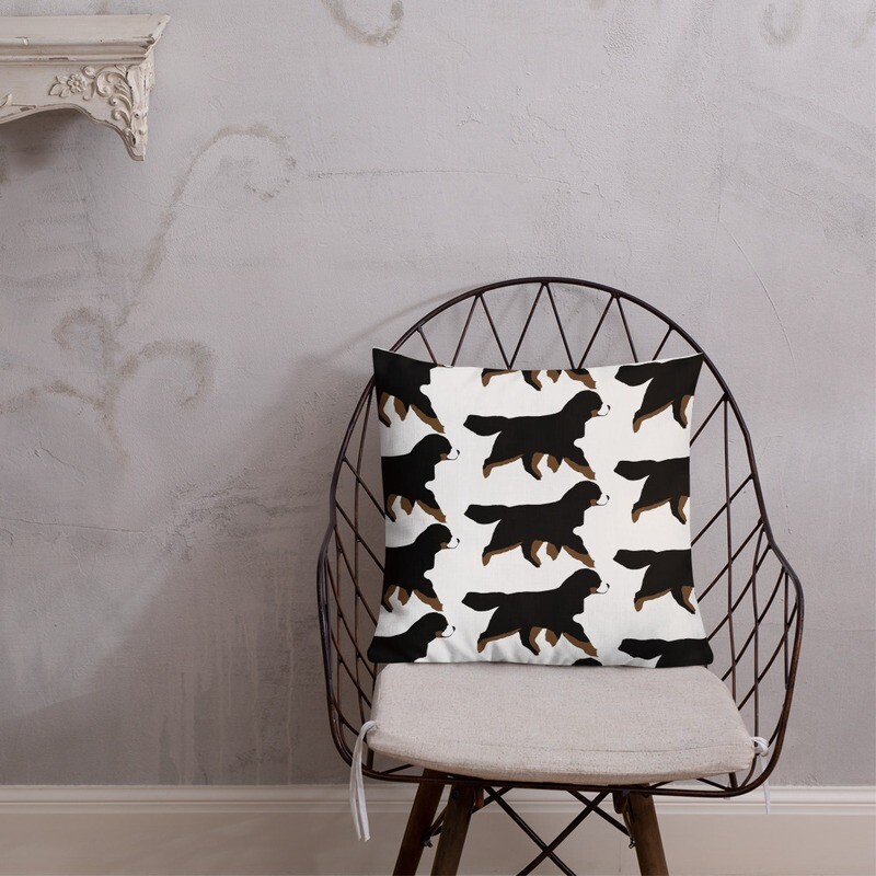 D&#39;Bern Designe Premium Pillow My Bern 2 in one / 3 sizes