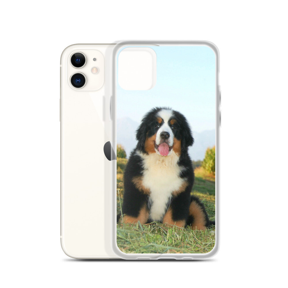 D`Bern Designe iPhone Case 22