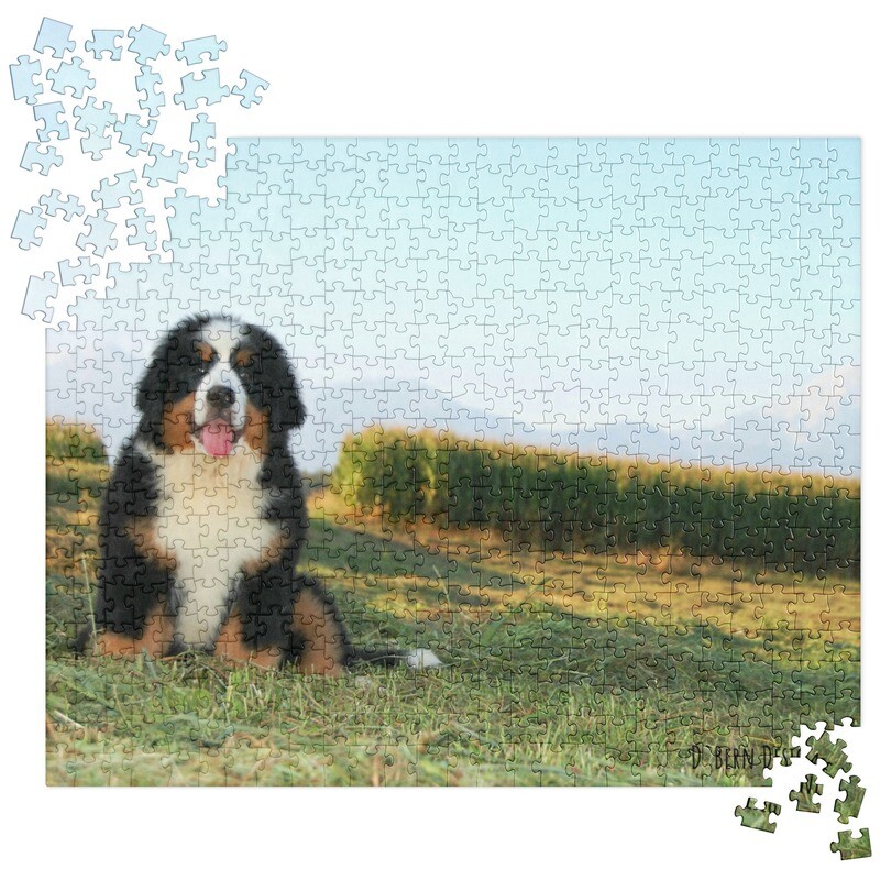 D&#39;Bern Designe  puzzle Bern Nature/ 2 sizes