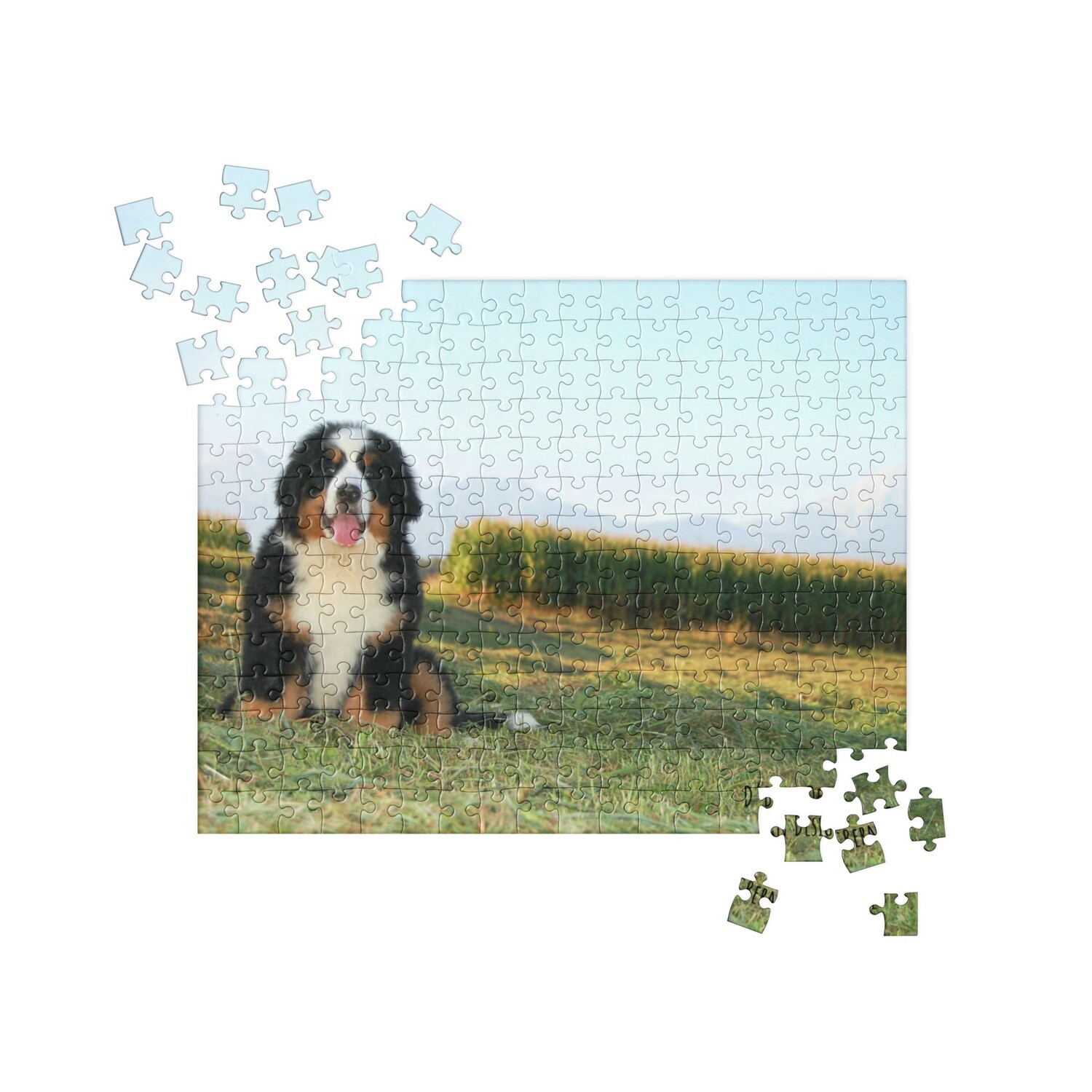 D&#39;Bern Designe  puzzle Bern Nature/ 2 sizes, Size: 252 pieces /only USA
