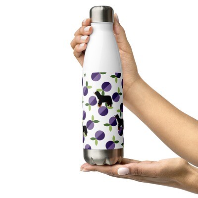 D`Bern Designe  Steel Water Bottle ViolaB