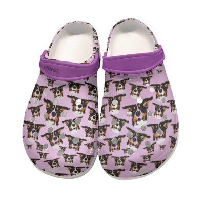 D&#39;Bern Designe Bernese Clogs 1