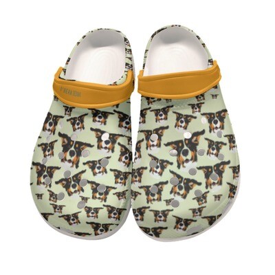 D&#39;Bern Designe Bernese Clogs 2
