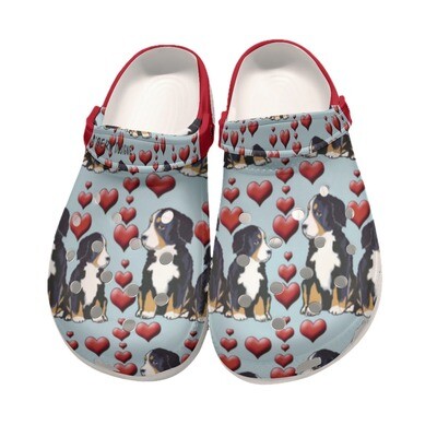 D&#39;Bern Designe Bernese Clogs 7