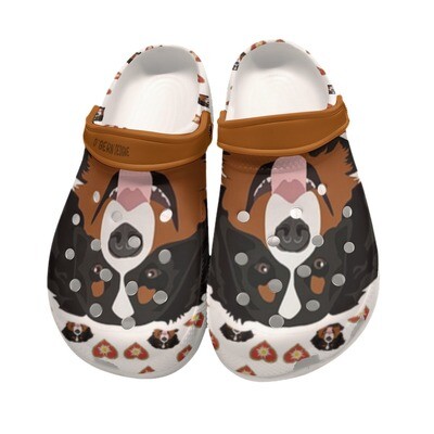 D&#39;Bern Designe Bernese Clogs 9