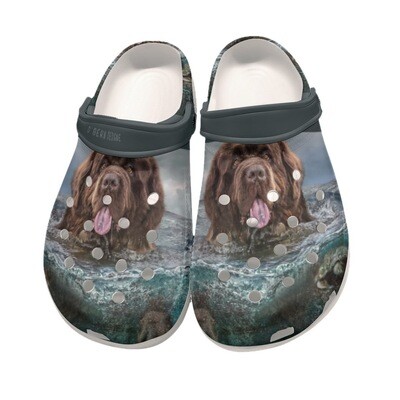 D&#39;Bern Designe Newfoundland Clogs 2