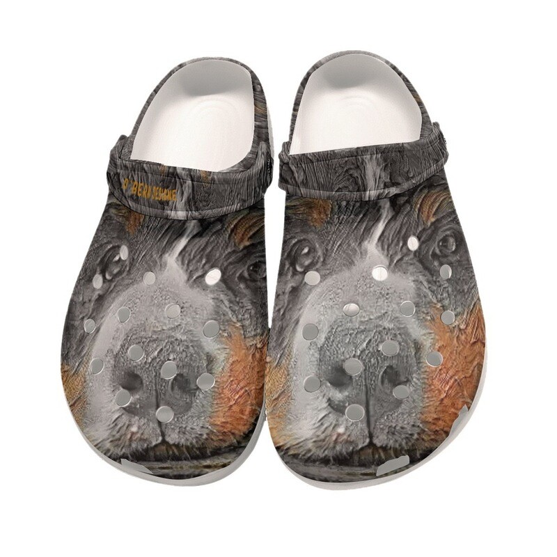 D&#39;Bern Designe  Bernese Clogs 25