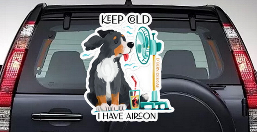 D`Bern Designe Bubble-free Bern Stay cool stickers / 3 sizes