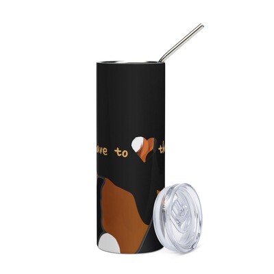 D`Bern Designe Stainless steel tumbler with metal straw Bern10