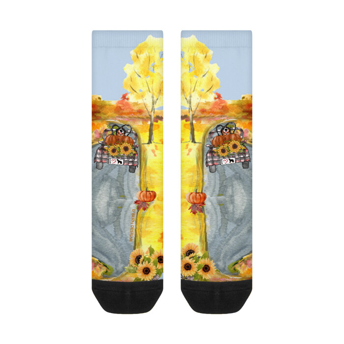 D`Bern Designe Unisex Crew socks BernFall / 5 colours