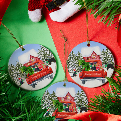 D`Bern Designe Berner ceramic Xmas ornaments 3pcs / both sides