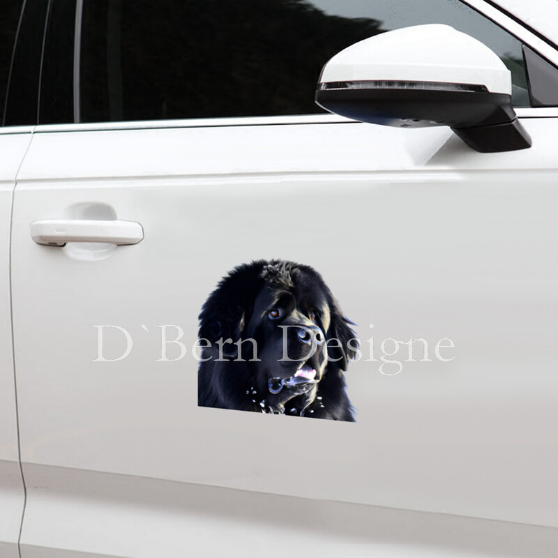 D`Bern Designe waterproof MAGNET STICKER NEWFOUNDLAND /4 sizes