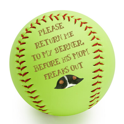 D˙Bern Designe Berner  Softball in 2 sizes  / custom available