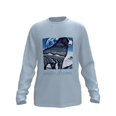 D˙Bern Designe Longsleeve Winter dreams T shirt / in 3 colors