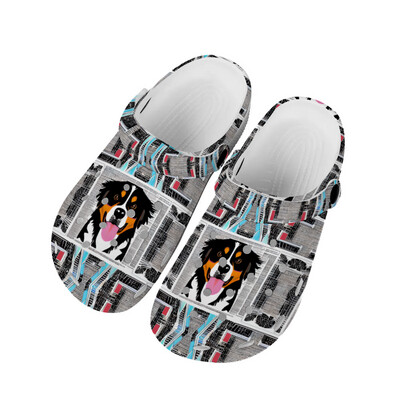 D´Bern Designe clogs with Bern frozen street design