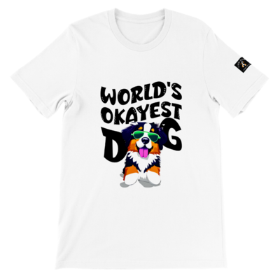 D˙Bern Designe  Premium Unisex  Bern T shirt / in 4 colors