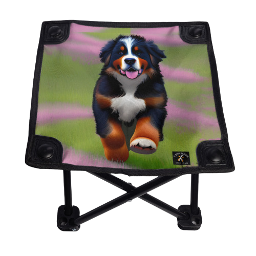 D˙Bern Designe BernSummer folding Chair｜Oxford Fabric