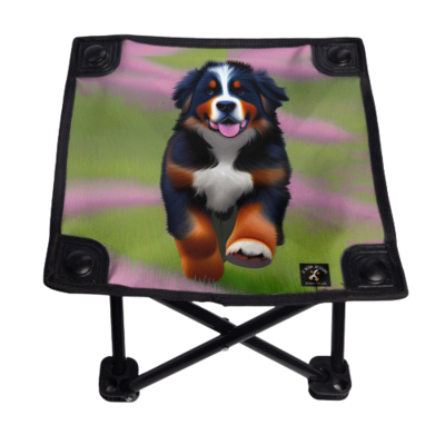 D˙Bern Designe BernSummer folding Chair｜Oxford Fabric