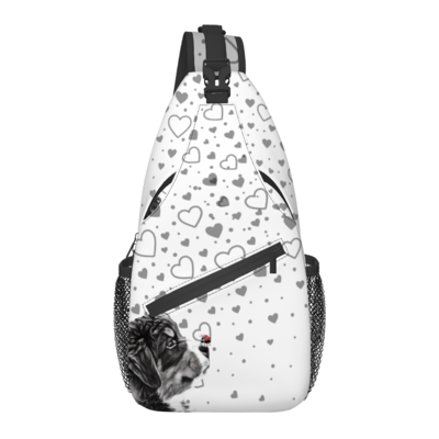 D˙Bern Designe Berner &amp; LandyBug Cross-body sling bag