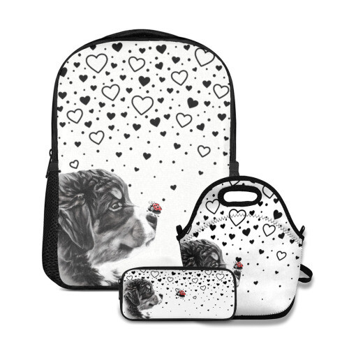 D˙Bern Designe Berner &amp; Lady Bug school SET 3 in 1
