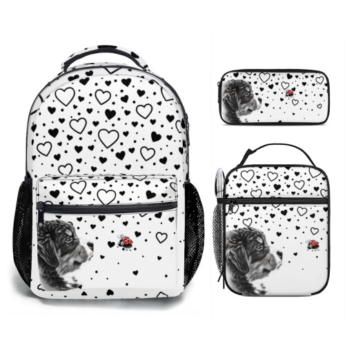 D˙Bern Designe Berner &amp; Ladybug A school SET 3 in 1