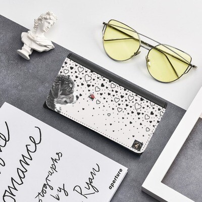 D˙Bern Designe Berner &amp; Ladybug leather case for all eyeglasses
