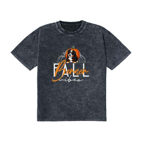 D˙Bern Designe vintage stone washed T shirt  in 2 colors