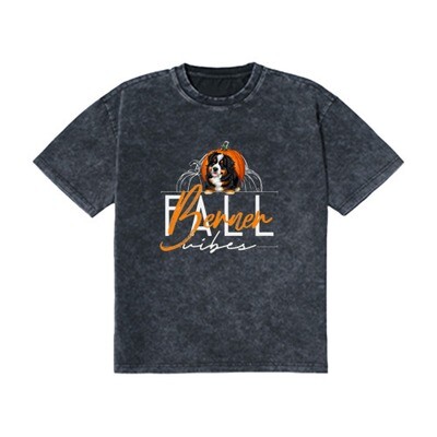 D˙Bern Designe vintage stone washed T shirt  in 2 colors