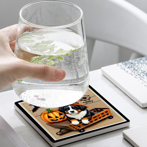 D˙Bern Designe cork, diatomaceous earth coaster 6 pcs in set / custom mix option