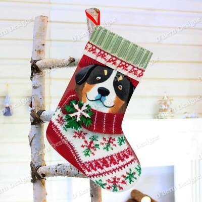 D´Bern Designe Xmas sock B Large